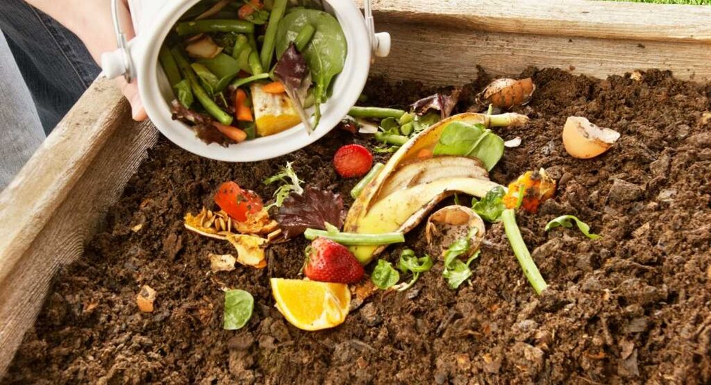 Composting - food scraps in soil