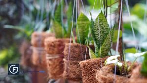outdoor hanging plants - Family Home Blog